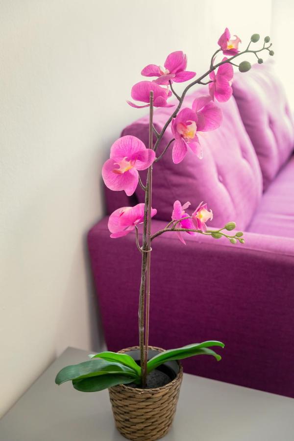 Andriana City Centre Flat Larnaca Exteriér fotografie